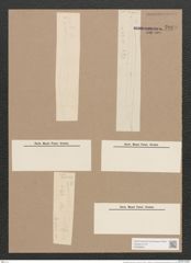 Pleurosigma clevei Grun. (de-Toni-Nr.: Genus 13, Species 1012) Zeichnungen Sammlung Grunow Nr. 2069 (NHMW-BOT-W0368931)